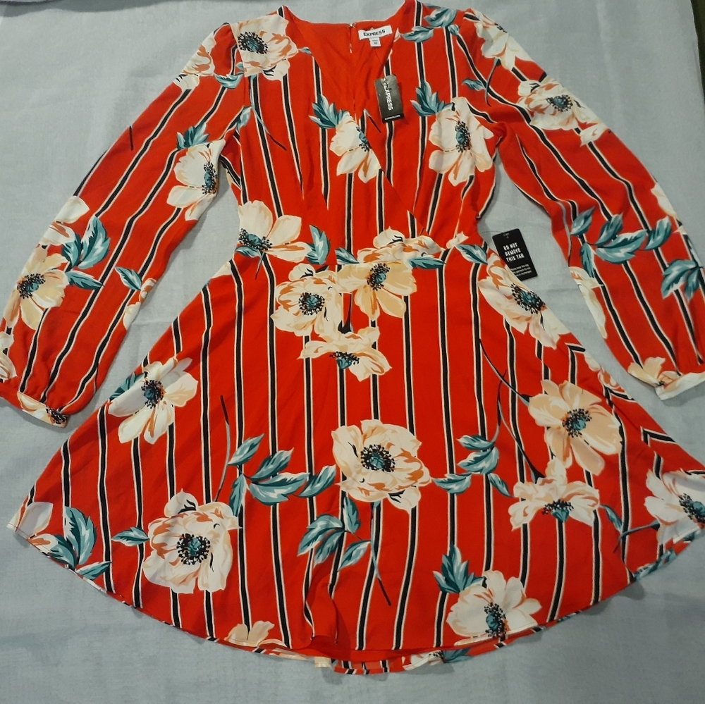 Express Red Floral Mini Dress